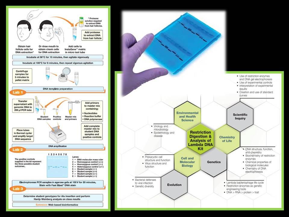 PV92 PCR Informatics Kit