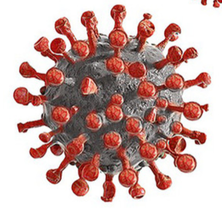 Detecting-COVID-19-Using-Reverse-Transcription-PCR-RT-PCR