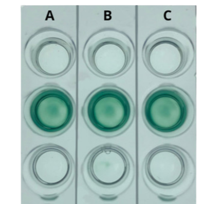 AIDS KIT I: Simulation of HIV Detection by ELISA