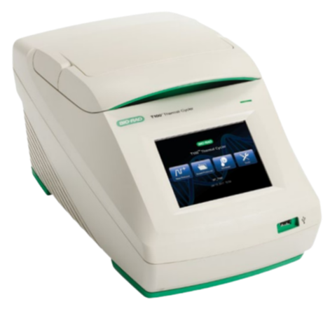 T100 Thermal Cycler